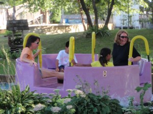 2010 State Fair