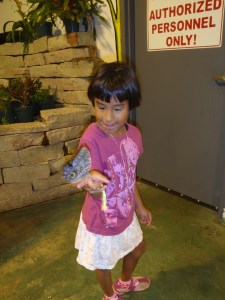 Butterfly garden at age 7
