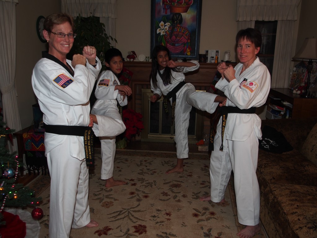 Tae Kwon Do in&nbsp;review
