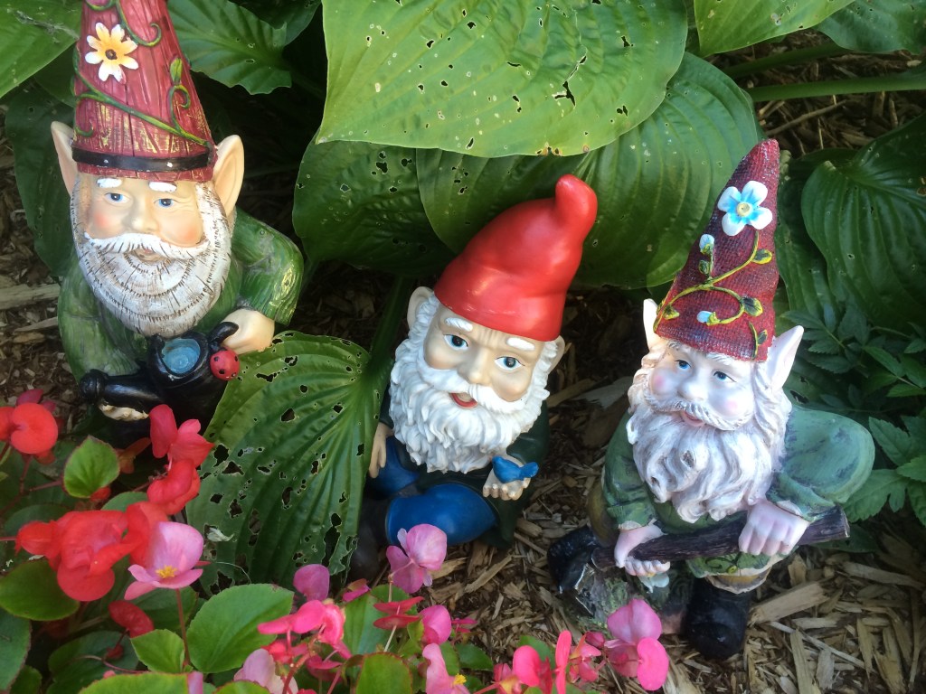 What I Overheard the Gnomes&nbsp;Saying