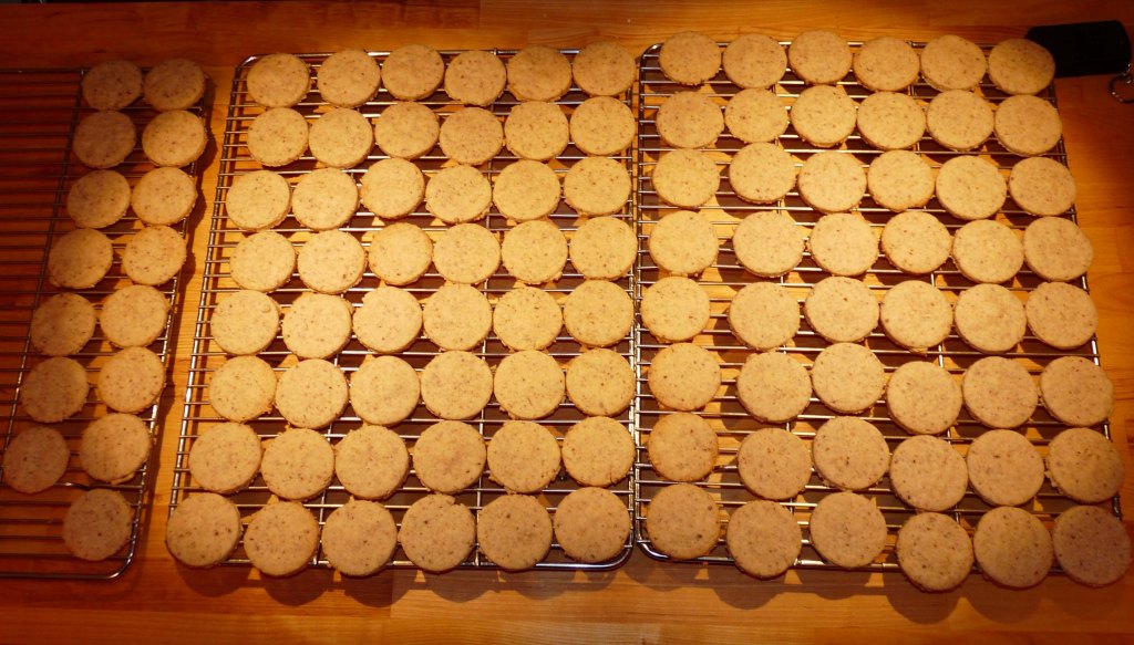 Trying Hard to Embrace Winter (even though I hate being cold)