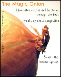 The-Magic-Onion