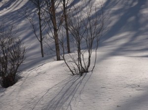 That contemplative walk will actually look more like this