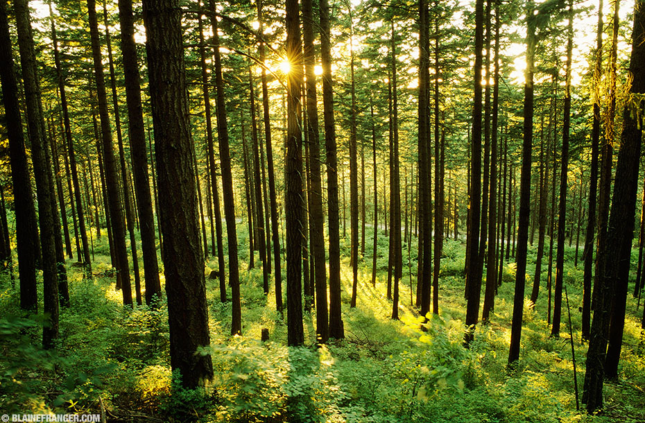 Where Were Josh Duggar’s&nbsp;Parents?