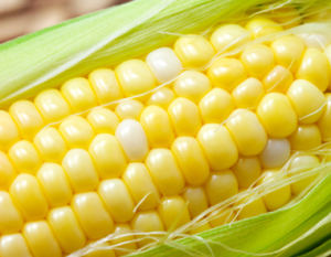 Screen Shot 2015-09-16 at 7.59.52 PM