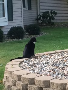 Oreo waiting for us.