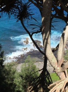 Near Kilauea lighthouse