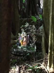 Tiny shrine under banyan tree at Hindu monastery