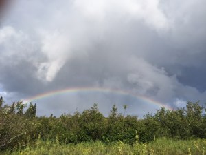 Juan took this rainbow photo in Alaska