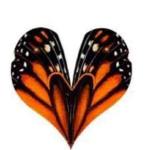 14570430_10154728863962384_4945550604691041982_n1