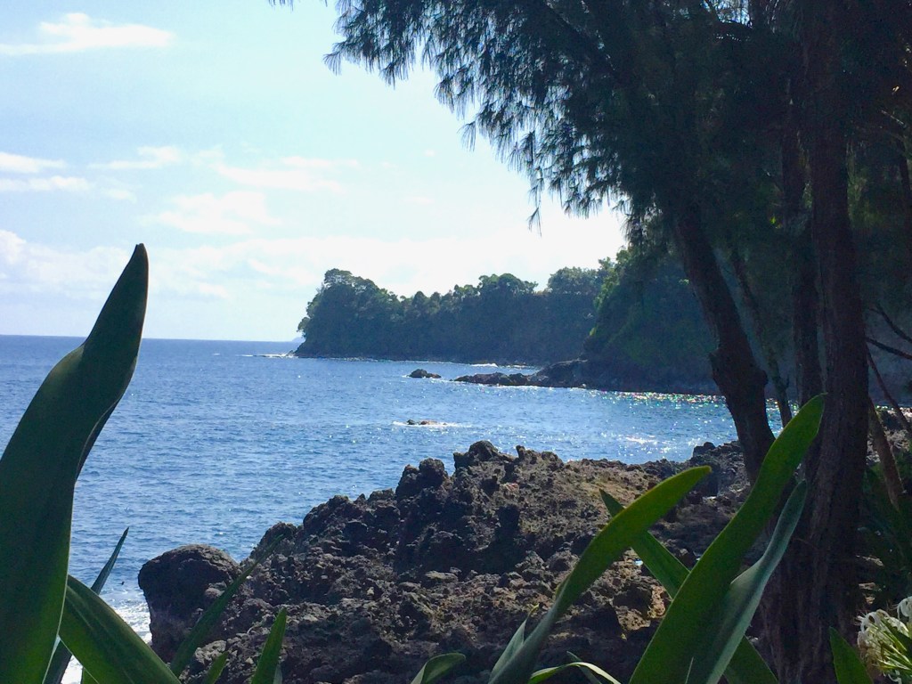 On the Hilo side of the Big Island, rain forts have overtaken the lava fields.