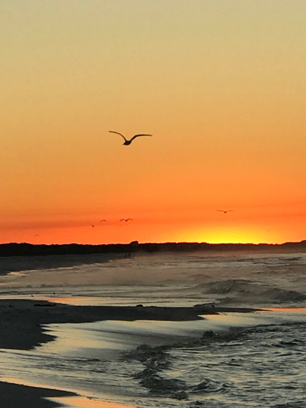 My Wish Came&nbsp;True