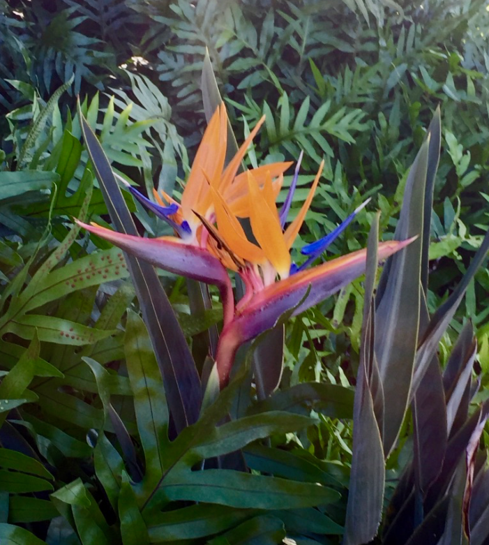 Uncomfortable in My Own&nbsp;Skin