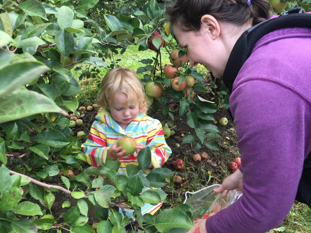 Are You My&nbsp;Mother?