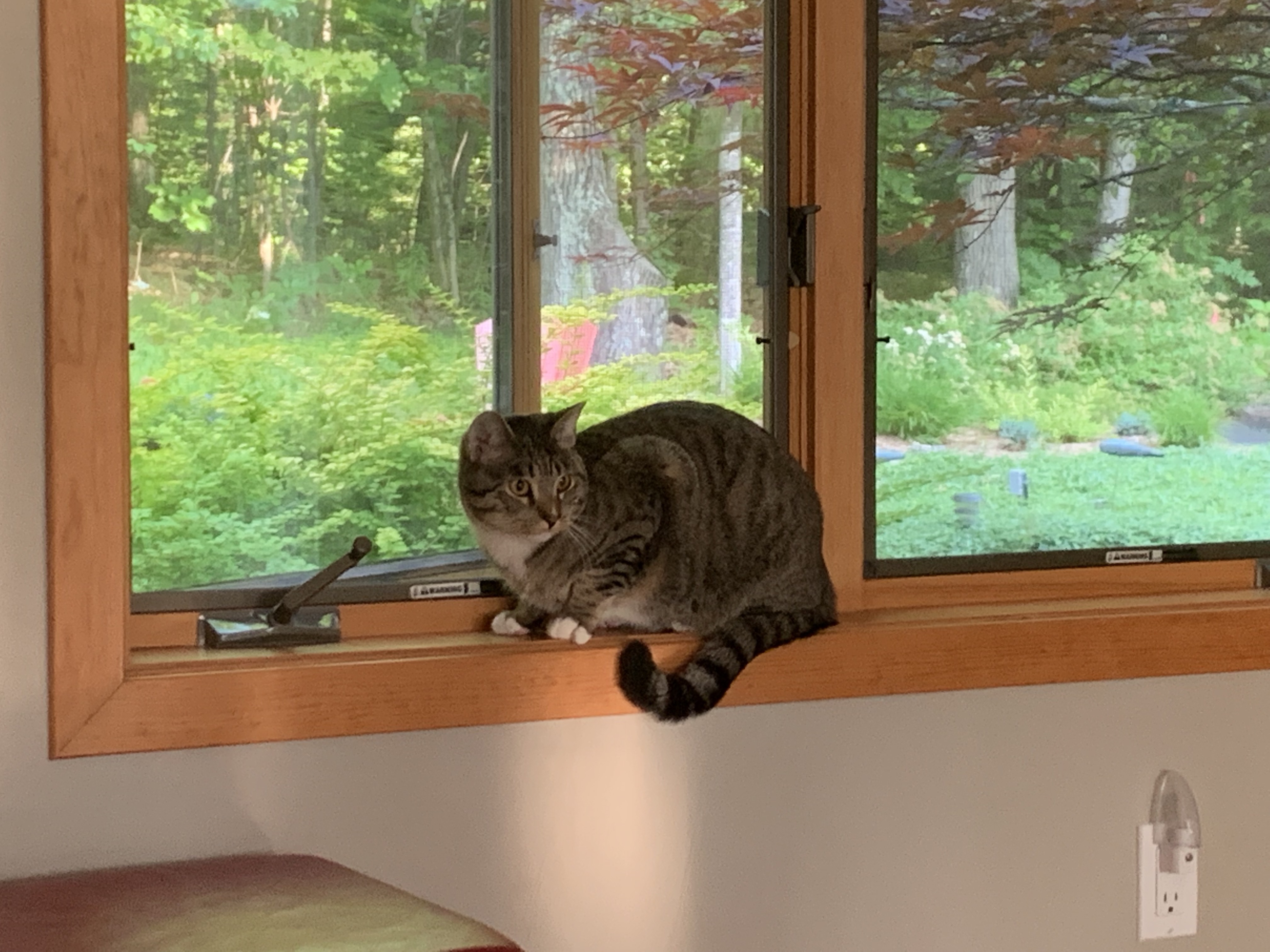 dqxAg4RVSx64bVUg0%6uLg