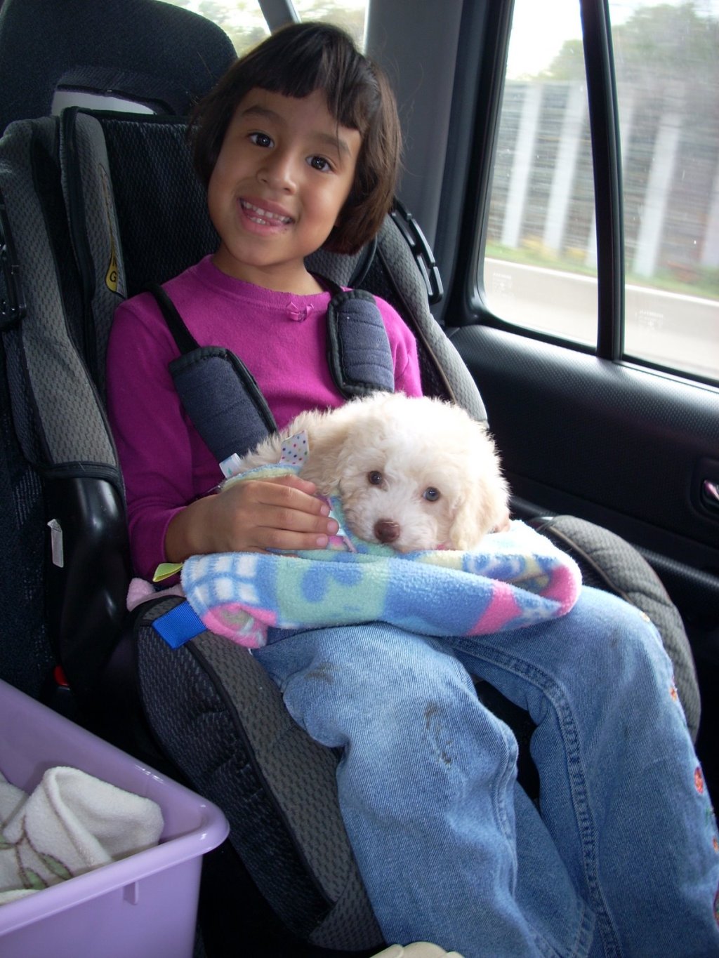 Another Dog Story…